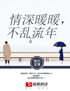 情深乱流年免费阅读