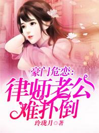 总裁的律师妻