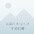 名士风流避孕套